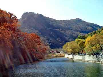 新澳天天开奖资料大全旅游团，黑帽seo学多久